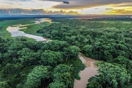 Major Arcadia Fund Grant to WCS Advances Global Conservation of Nature Strongholds